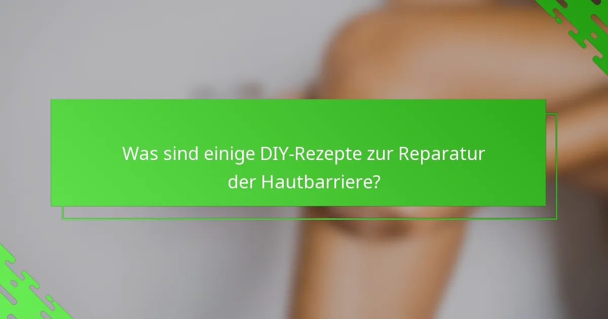 Was sind einige DIY-Rezepte zur Reparatur der Hautbarriere?