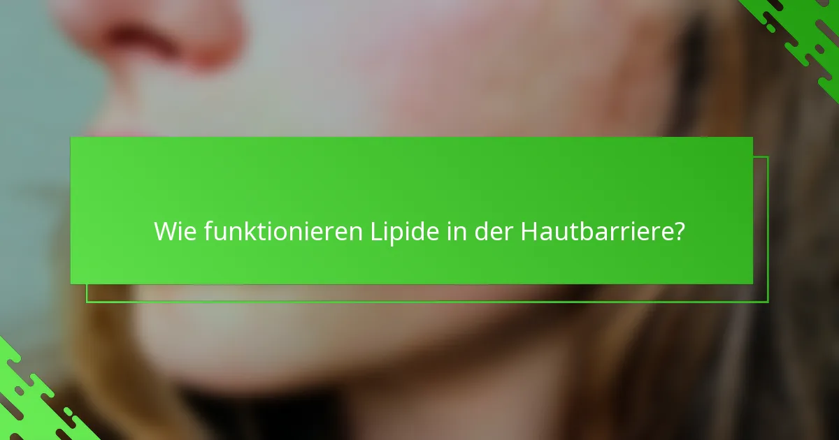 Wie funktionieren Lipide in der Hautbarriere?