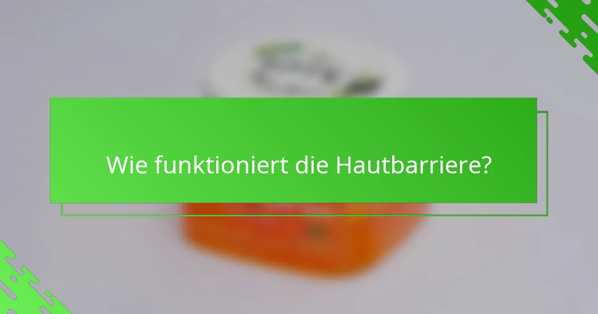 Wie funktioniert die Hautbarriere?