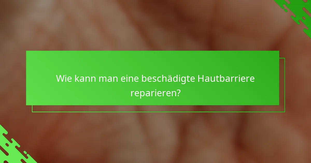 Wie kann man eine beschädigte Hautbarriere reparieren?