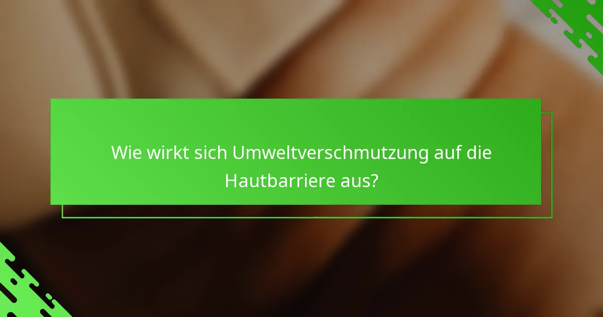 Wie wirkt sich Umweltverschmutzung auf die Hautbarriere aus?